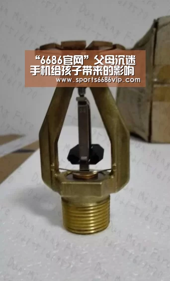 6686官网