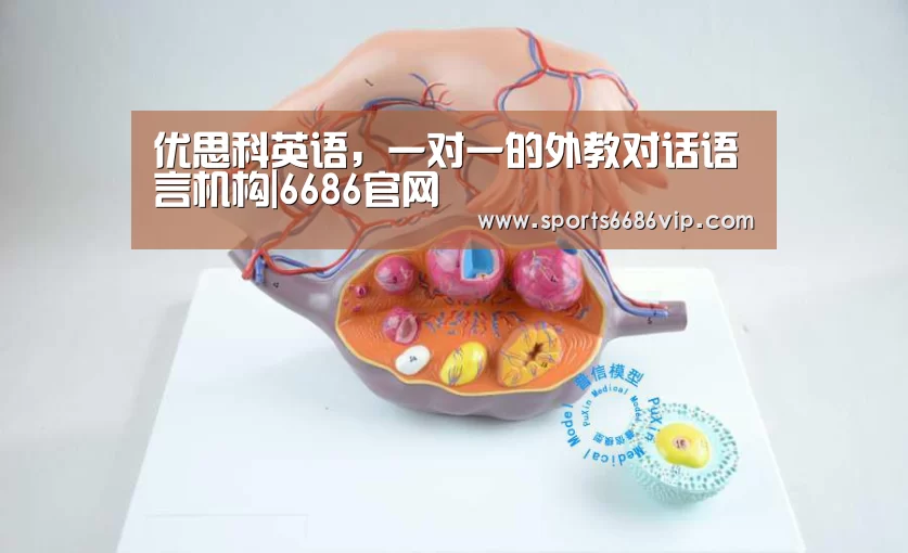 6686直播