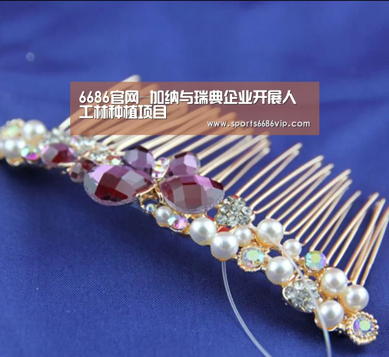 6686官网-加纳与瑞典企业开展人工林种植项目(图3) 6686直播