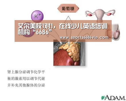 艾尔美校1对1,在线少儿英语培训机构“6686”(图2) 6686直播