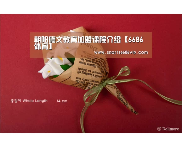 朝阳德文教育加盟课程介绍【6686体育】(图1) 6686直播