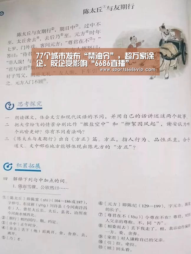 6686直播