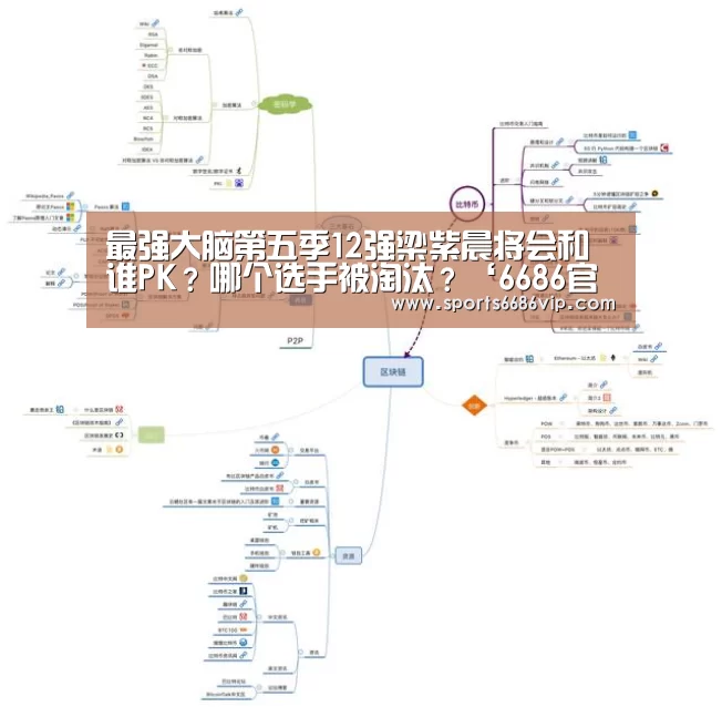 最强大脑第五季12强梁紫晨将会和谁PK?哪个选手被淘汰?‘6686官网’(图4) 6686体育