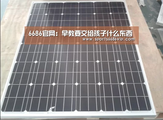 6686官网:早教要交给孩子什么东西(图3) 6686官网