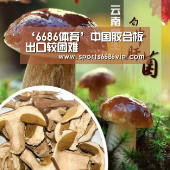 ‘6686体育’中国胶合板出口较困难(图1) ‘6686体育’中国胶合板出口较困难(图1)