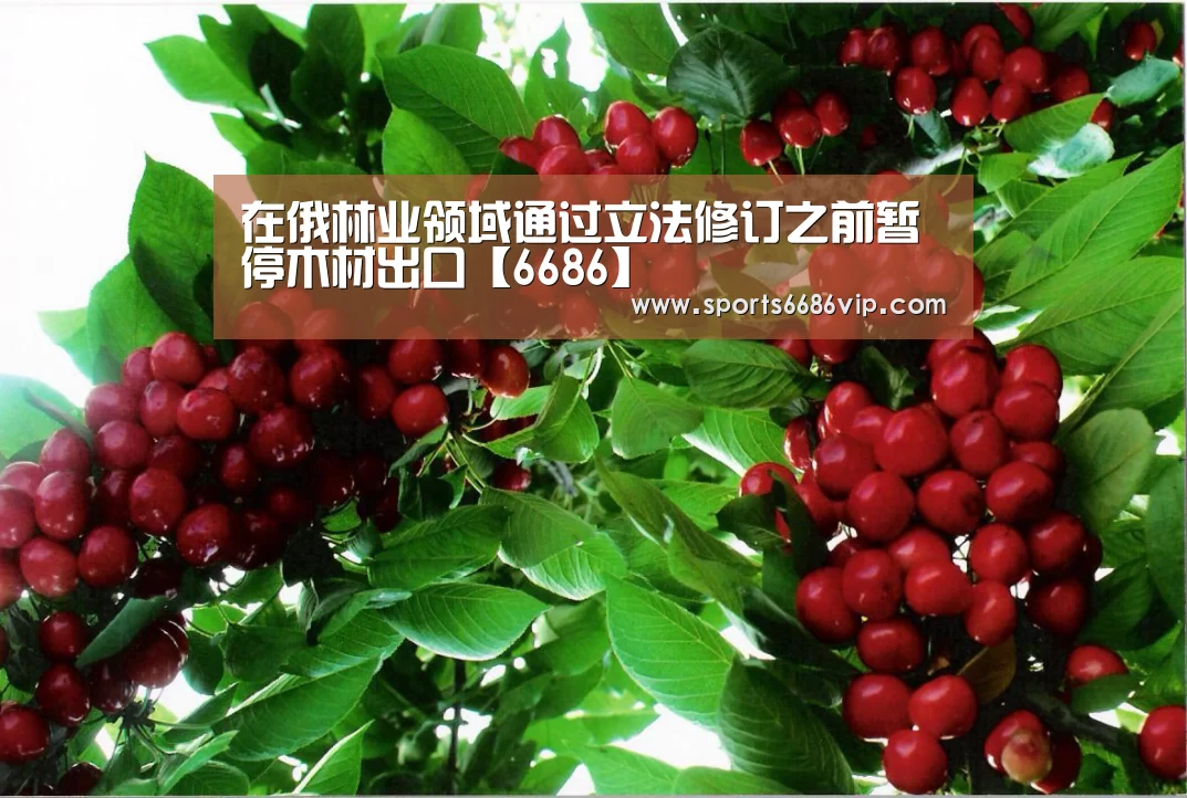 在俄林业领域通过立法修订之前暂停木材出口【6686】(图2) 6686直播