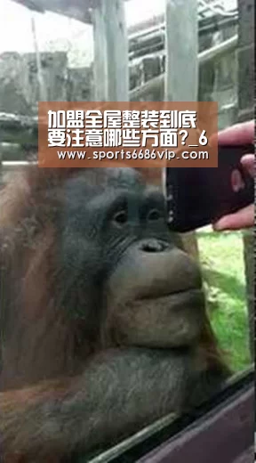 加盟全屋整装到底要注意哪些方面?_6686(图1) 加盟全屋整装到底要注意哪些方面?_6686(图1)