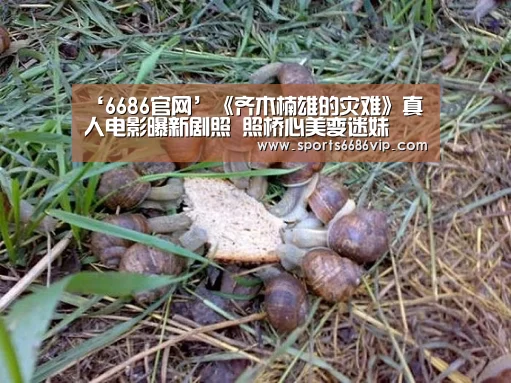 ‘6686官网’《齐木楠雄的灾难》真人电影曝新剧照 照桥心美变迷妹(图2) ‘6686官网’《齐木楠雄的灾难》真人电影曝新剧照 照桥心美变迷妹(图2)