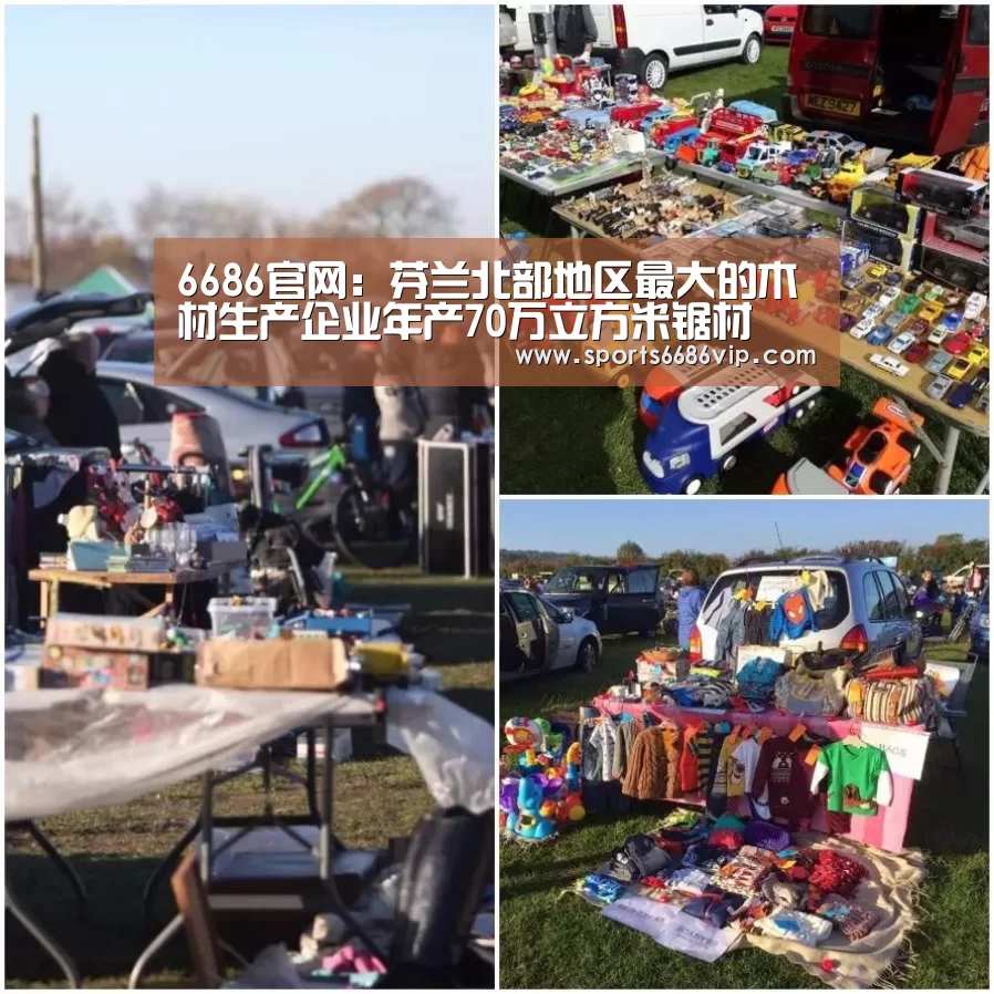 6686官网：芬兰北部地区最大的木材生产企业年产70万立方米锯材(图1)