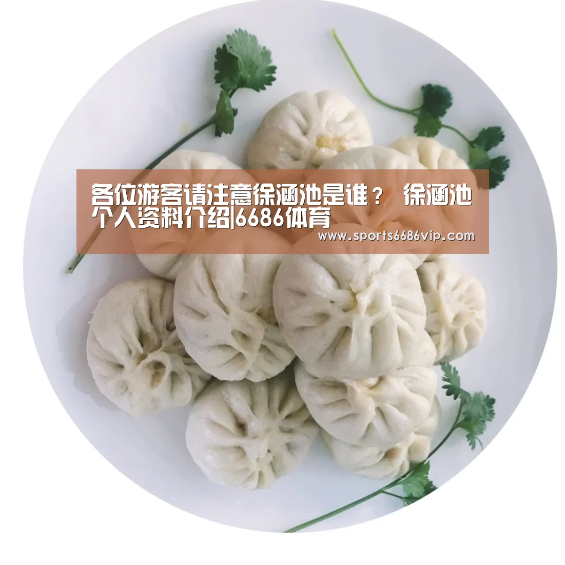 各位游客请注意徐涵池是谁? 徐涵池个人资料介绍|6686体育(图1) 6686直播