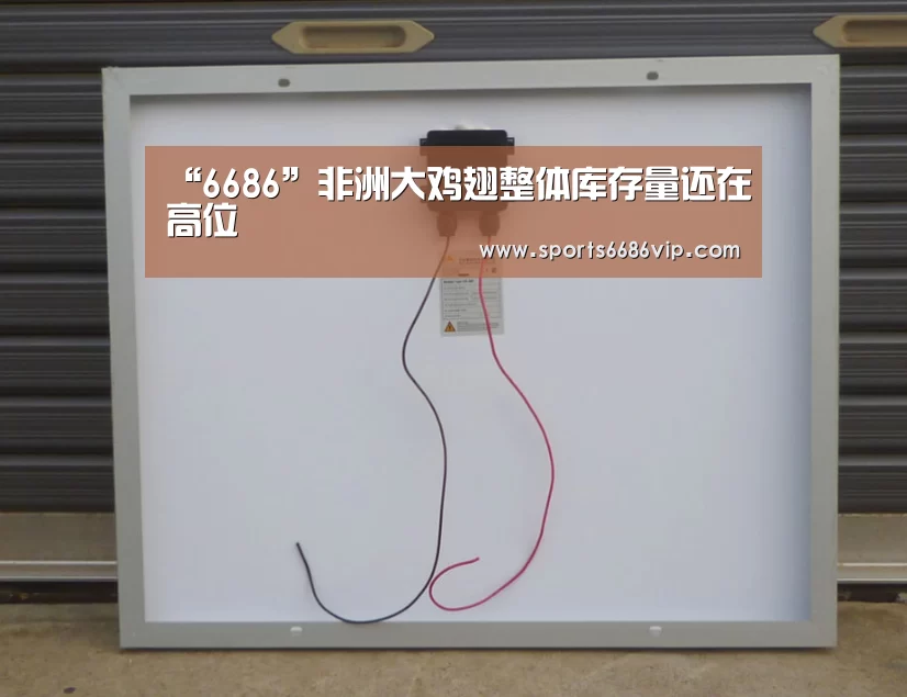 6686官网
