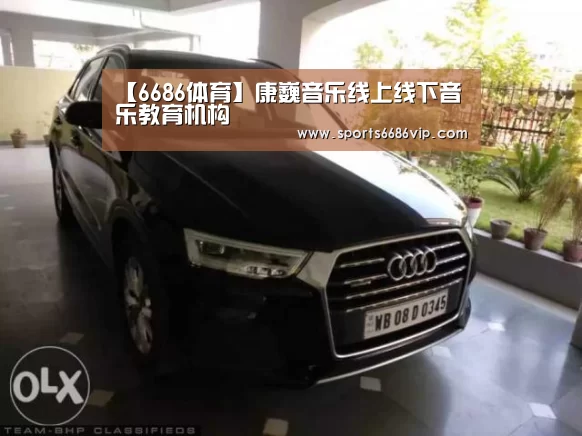 【6686体育】康巍音乐线上线下音乐教育机构(图1)