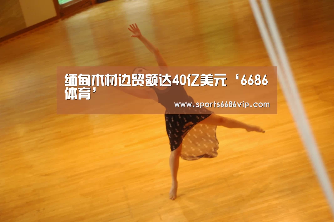 6686官网